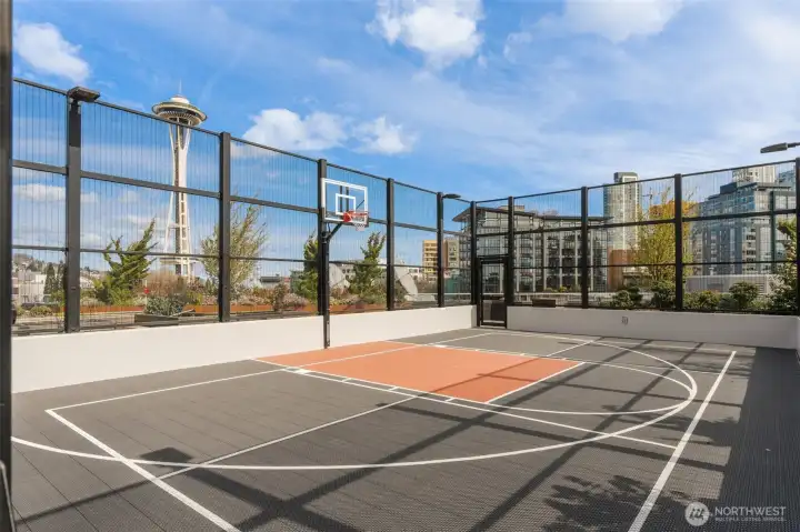 Pickleball/Basketball court