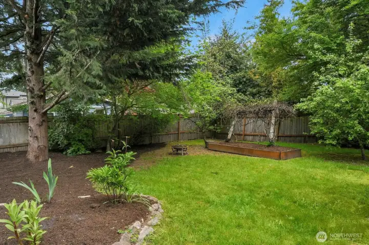Back yard