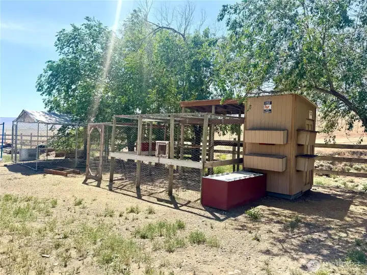 Turkey Enclosure Turkey Enclosure