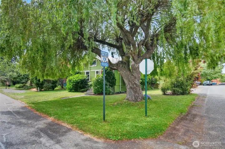 Corner lot with mature landscape Corner lot with mature landscape