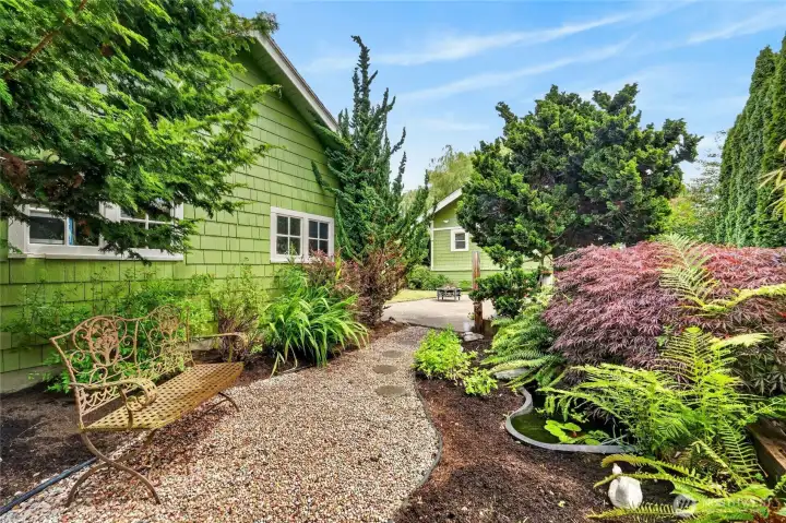 Cozy garden with a pond surrounded by mature trees and shrubs Cozy garden with a pond surrounded by mature trees and shrubs