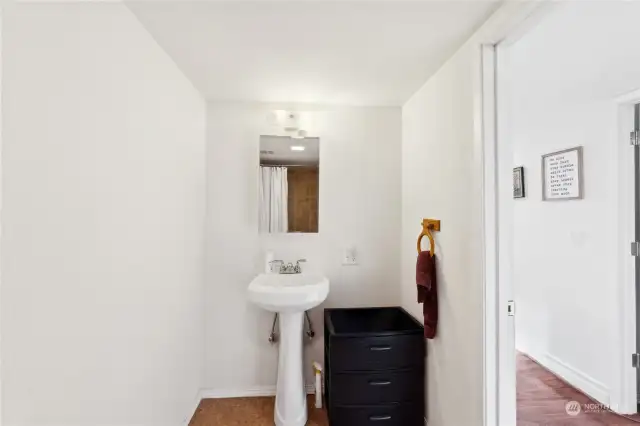 Lower level bathroom