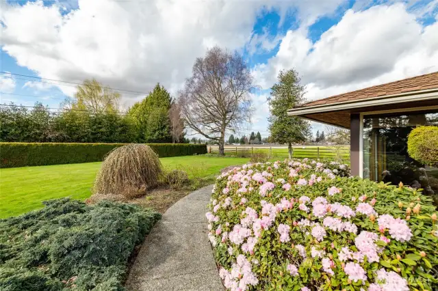Mature easy care landscape