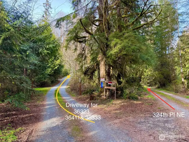 Shared Driveway off 324th