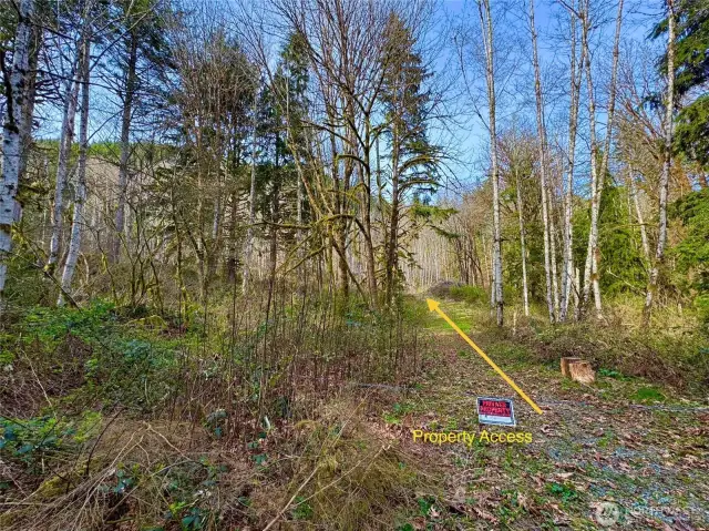Property Access