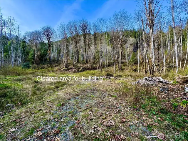 Cleared area for building