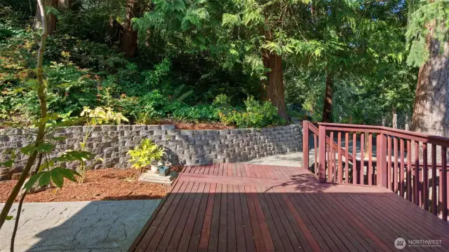 Easy access everywhere! This deck and the paved area connect you to a second path that leads up to the flat upper clearing, or down to the driveway. Getting around is a breeze!