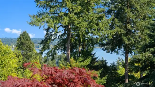 Picturesque Dyes Inlet -- so beautiful and serene!