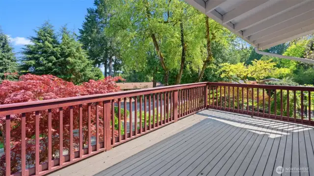 Built to last and designed for living! This huge deck, a 2009 addition, provides an abundance of space for outdoor fun and relaxation.