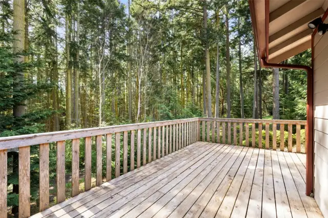 Deck overlooking Cappy's Trail System