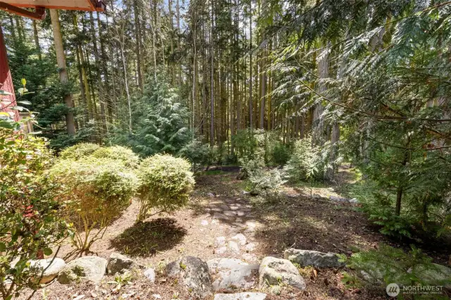 Side Yard