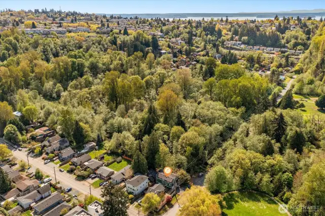 Overhead showing proximity to water. So much green space!