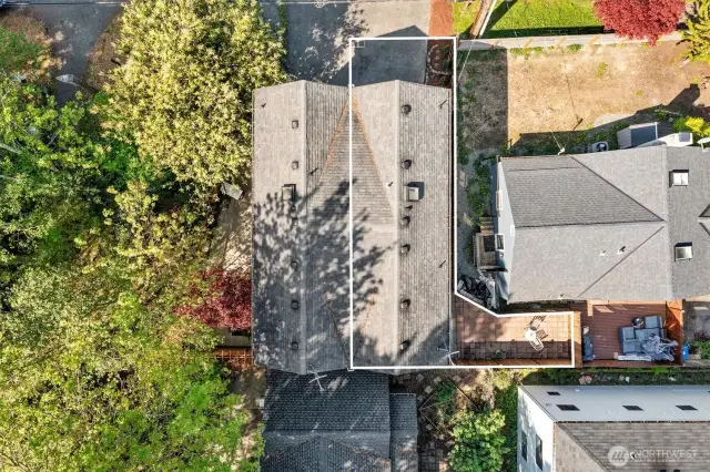 Property lines