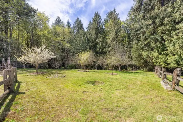 Fruit orchard