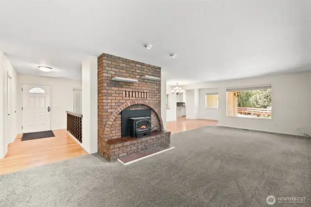 Wood fireplace insert