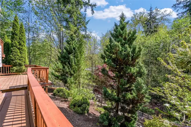 The lower deck would be perfect for container gardening!