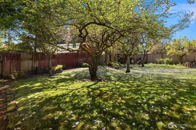 Fully fenced for ultimate privacy, this backyard is perfect for your furry friends    Fully fenced for ultimate privacy, this backyard is perfect for entertaining or letting your pets roam freely    Fully fenced for ultimate privacy, this backyard is perfect for entertaining or letting your pets roam freely