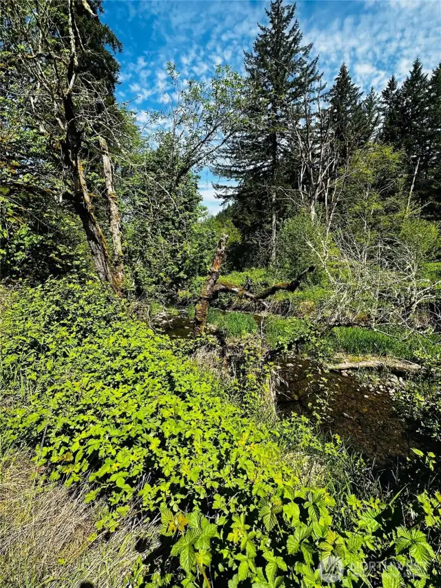 River across Rose Valley Rd