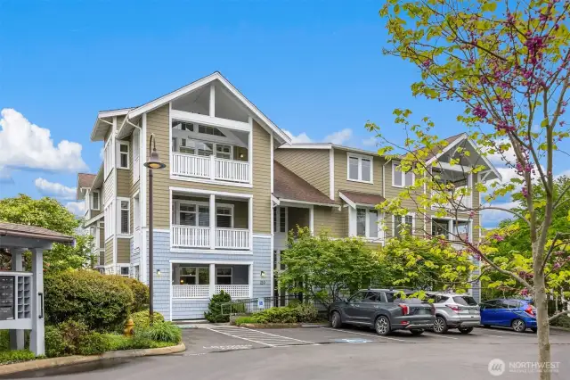 Beautiful Madrone Village!