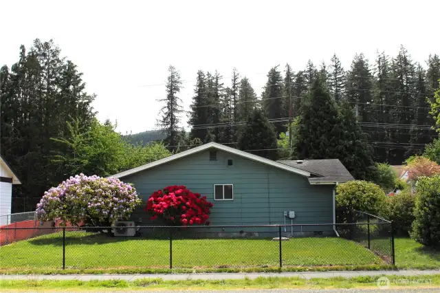 Lovely yard!
