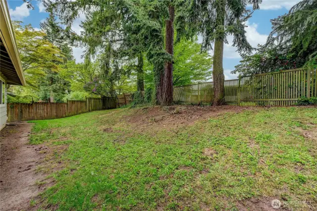 Back Yard. Fully Fenced
