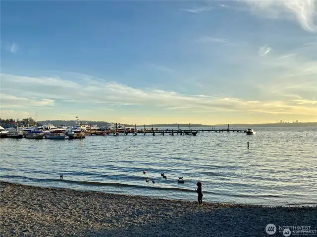 Downtown Kirkland Waterfront