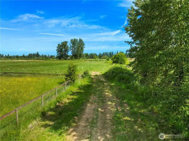 Driveway