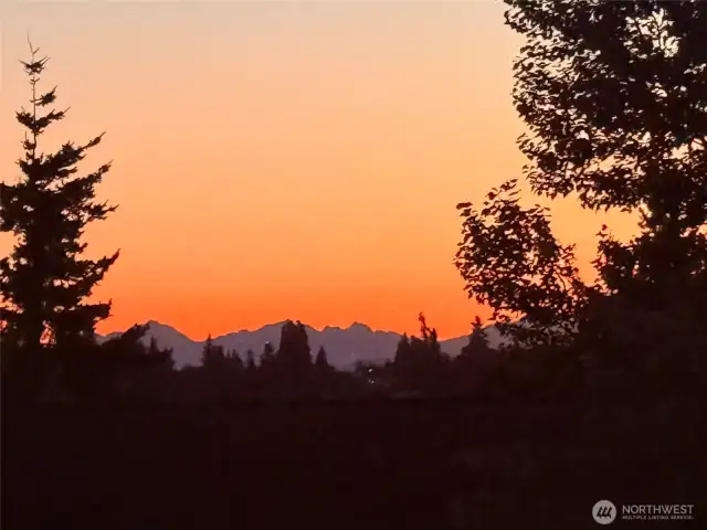 In the winter the tree leaves fall and you can enjoy clear snow capped Mountain view’s!