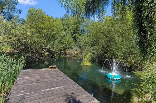 Large, deep spring fed pond with fish.