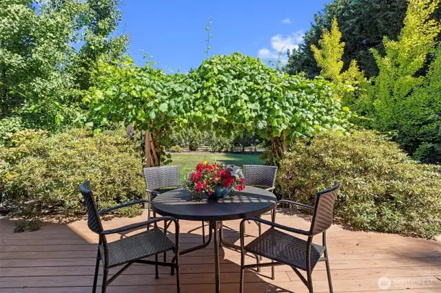 Deck from French doors looking through grape covered arbor to lawn