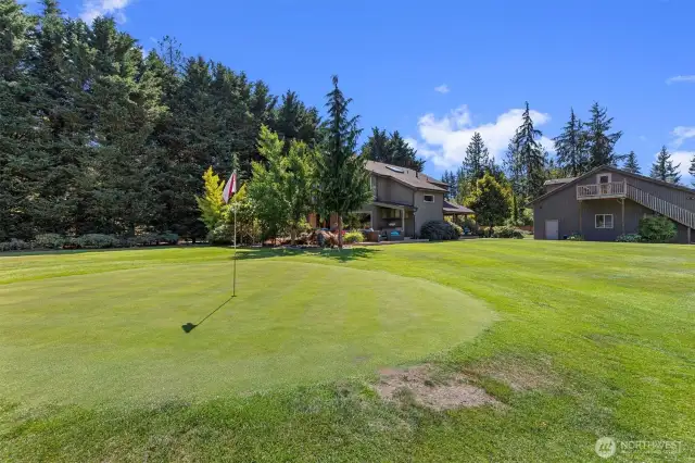 Professional putting green