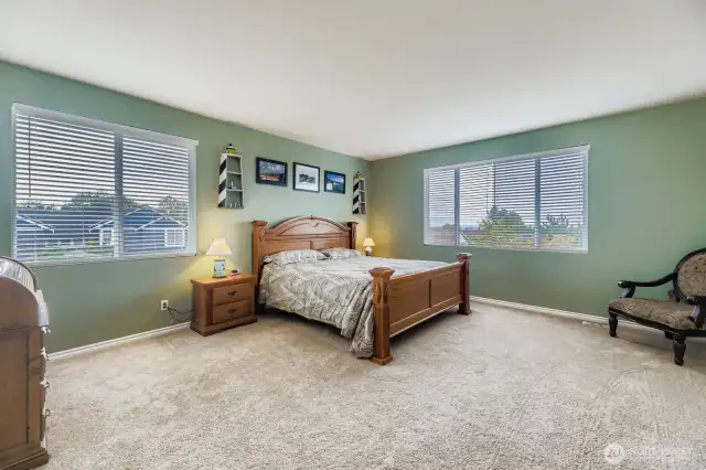 RESTFUL PRIMARY BEDROOM EASILY FITS A KING SIZE BED WITH ROOM FOR FURNITURE, AMAZING NATURAL LIGHTING.
