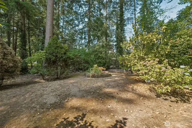 View of the yard space beyond the patio.