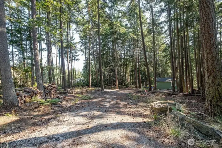 Looking west back toward the cabin from the TuffShed.