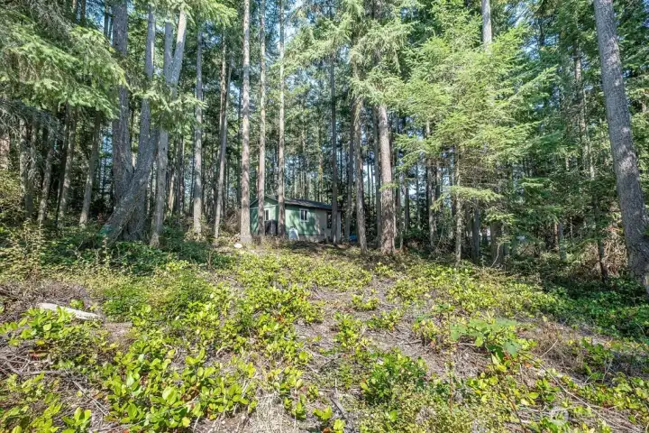 Looking back up toward the cabin from the south.