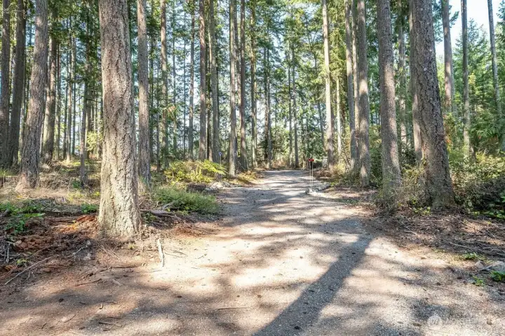 Looking up the road toward the Henni Rd entrance on the North.