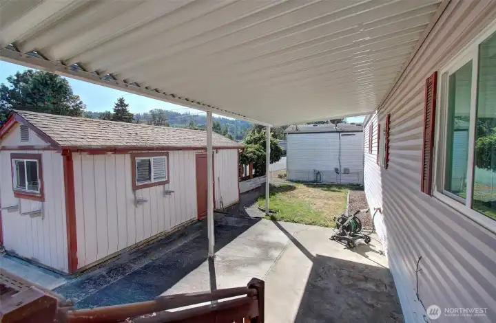 Shed