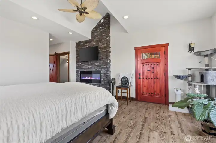 Primary bedroom fireplace