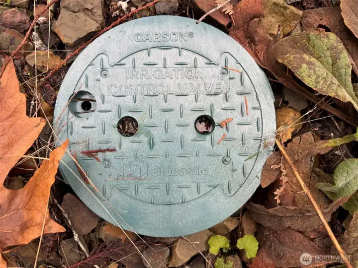 Irrigation Control Valve