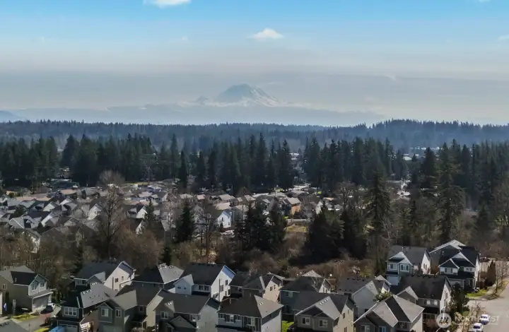 View of Rainier from the home