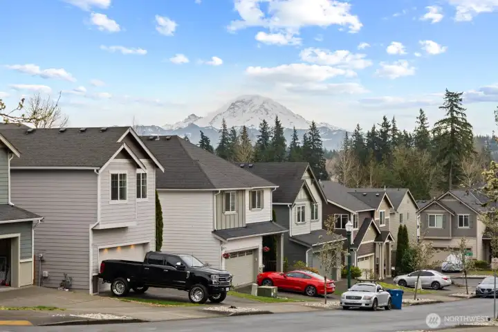 View of Mt Rainer