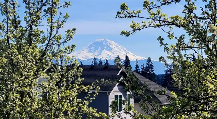 Mt Rainier from porch