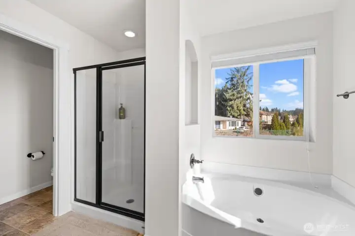 Master bath & tub