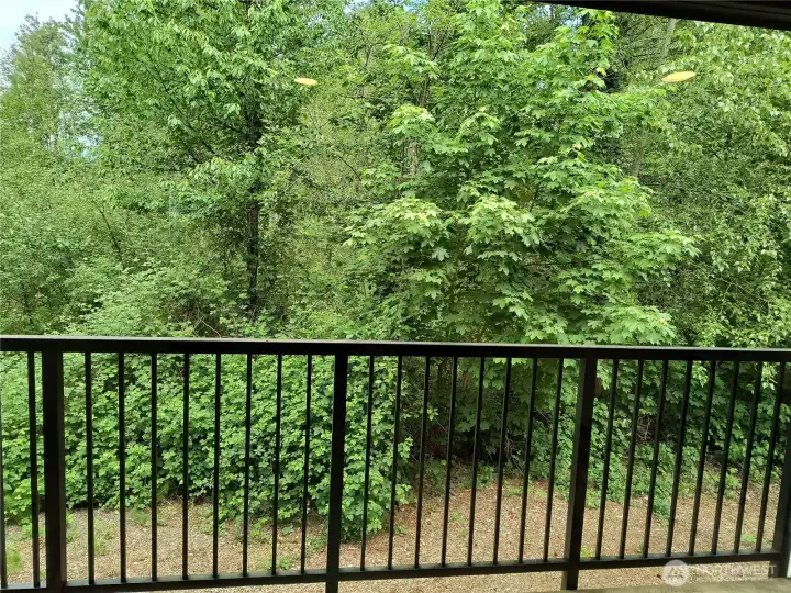 Lush greenery from your balcony Lush greenery from your balcony