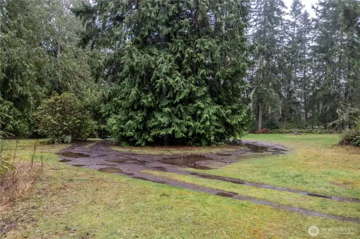The septic tank and drain field are located in the cleared area on the right side of this photo. There is still plenty of space to build your dream home, park an RV, or build additional DADUs.