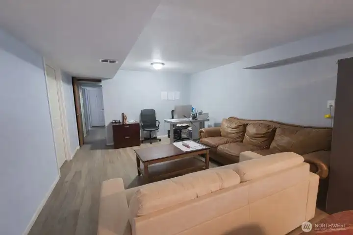 Lower level family room
