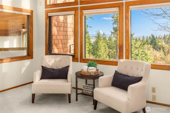 Mt Rainier View from Primary