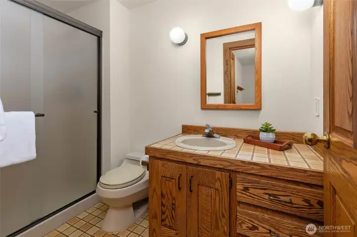 Lower level 3/4 bathroom