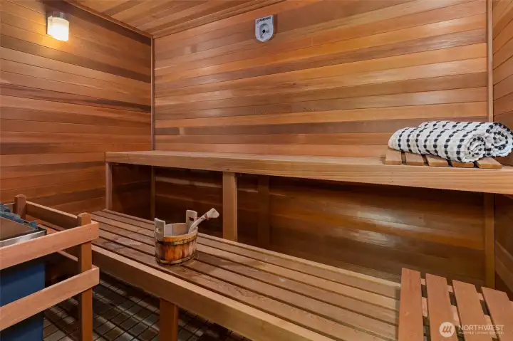 Lower level sauna.