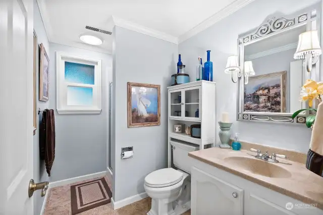 Basement bathroom with shower